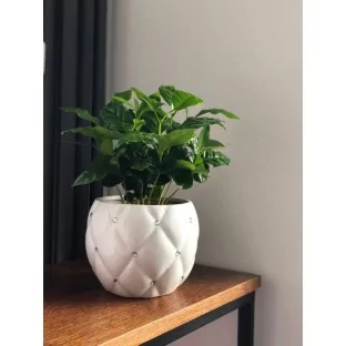 Osłonka w cyrkonie biała kula doniczka 13x12.5