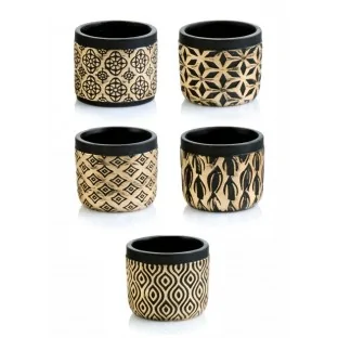 Osłonka na kaktusa...