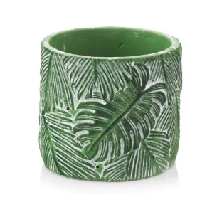 Osłonka zielona w liście MONSTERY doniczka 14 cm